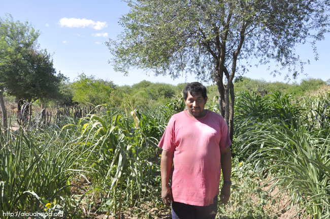 Indigenous Wichi develop gardens in NW Argentina